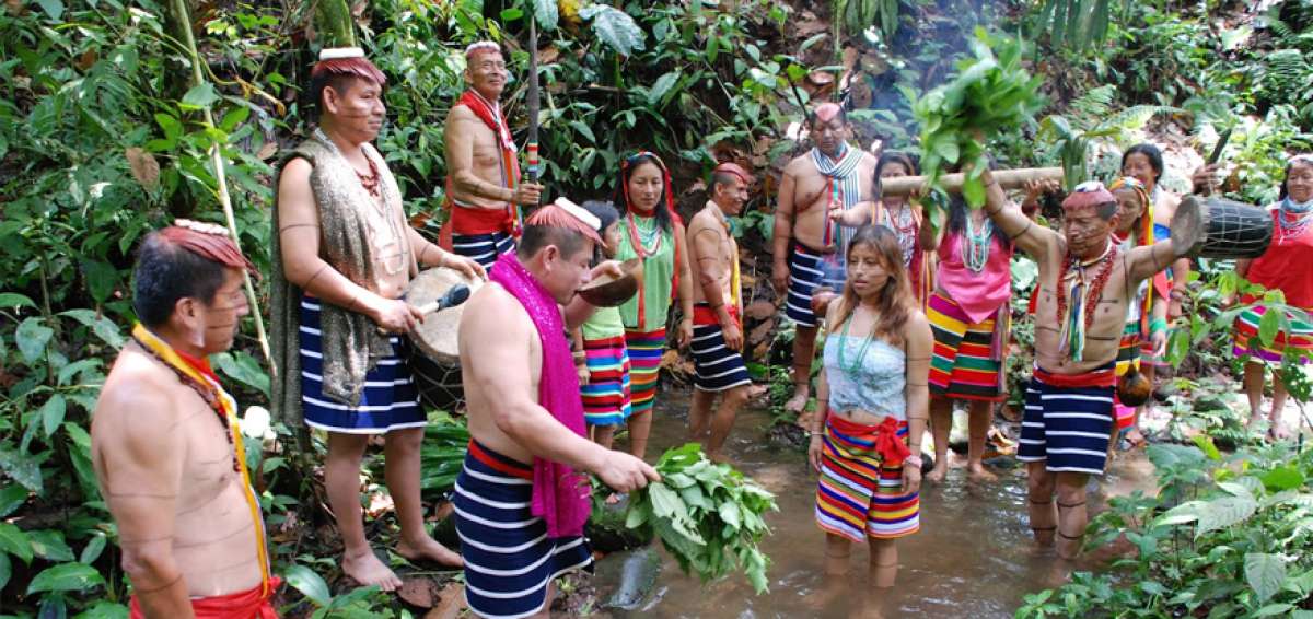 Miembros de la comunidad ts&aacute;chila consumen el nepi como un ritual; la bebida es preparada por ellos.