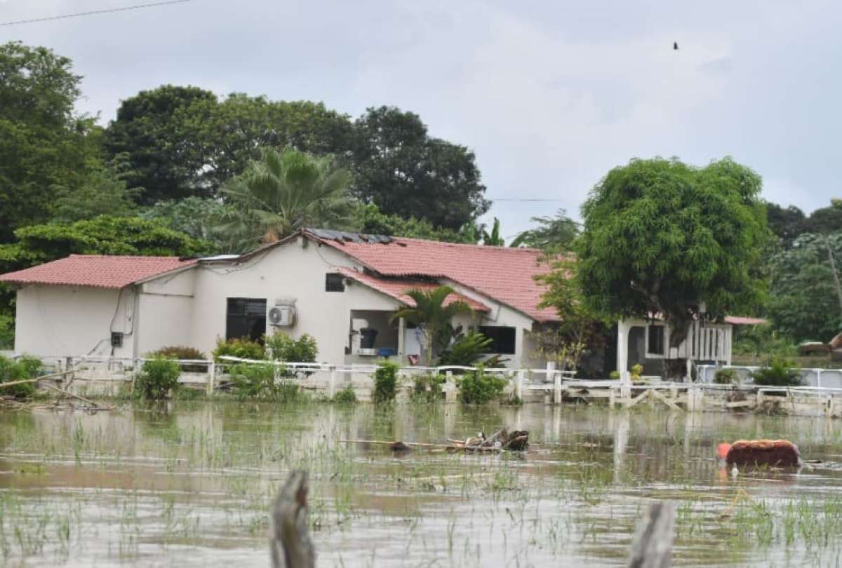 Las lluvias en Ecuador complican el panorama del dengue en distintas provincias.