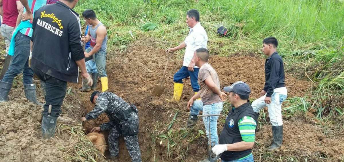 Dinased localiz&oacute; restos &oacute;seos que podr&iacute;an ser de persona reportada desaparecida