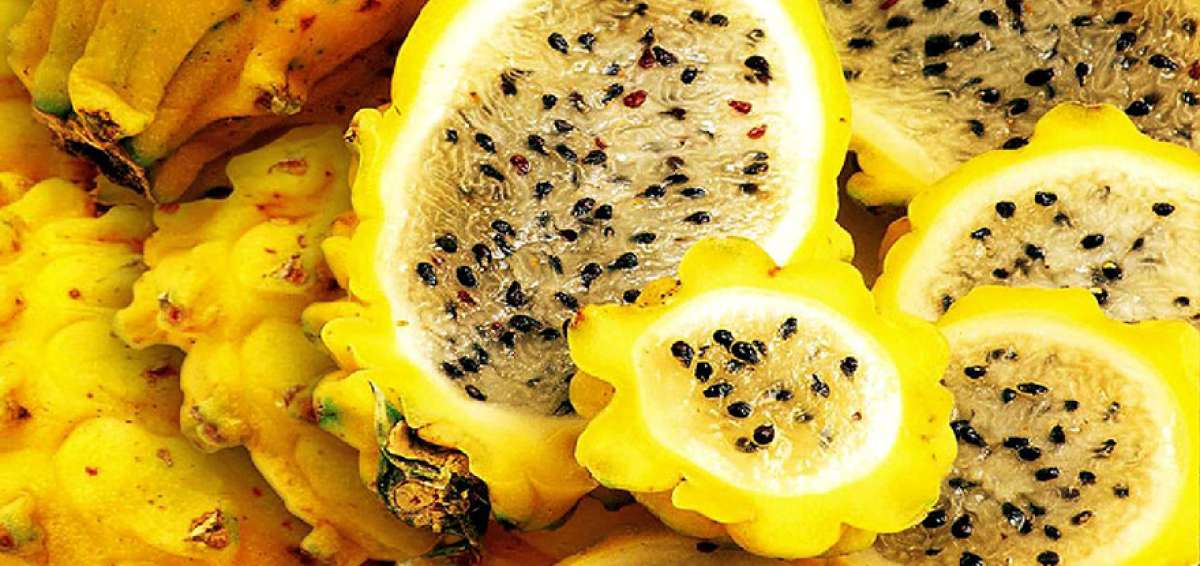 EE.UU. abre puertas a la pitahaya