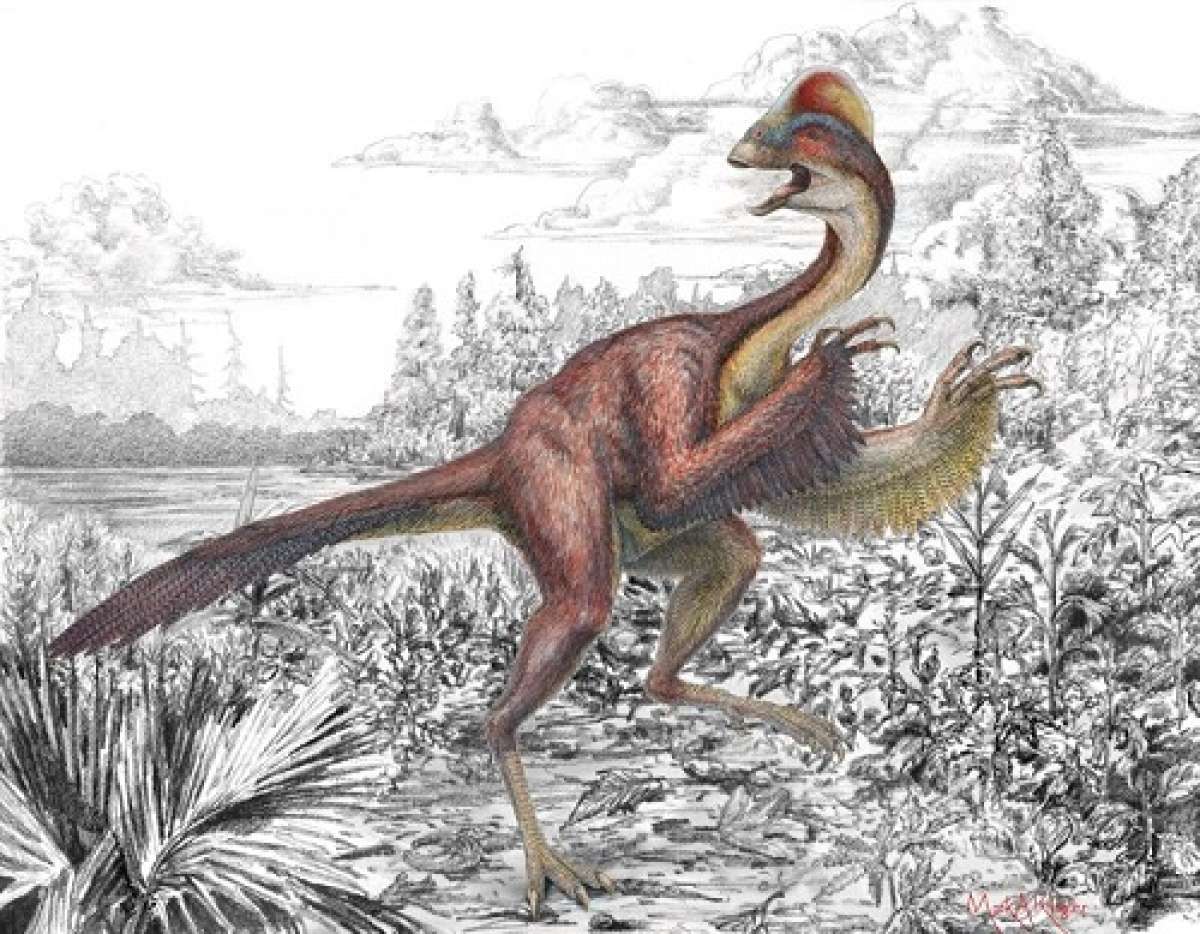 Imagen donde aparece el animal bautizado como Anzu wiliei, apodado el "pollo del infierno", un dinosaurio de unos 225 kilogramos con garras afiladas que merode&oacute; por Norteam&eacute;rica hace unos 66 millones de a&ntilde;os. Foto: EFE