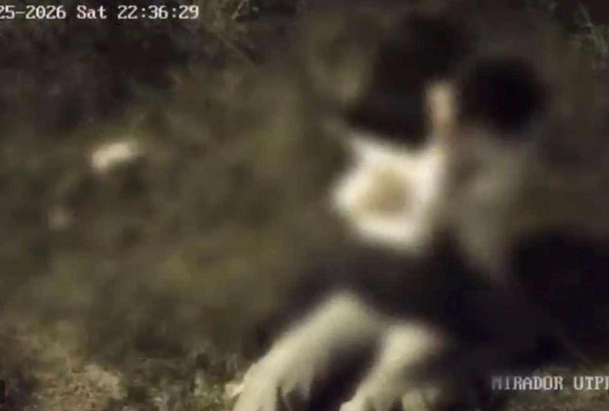 Loja: Dos j&oacute;venes fueron descubiertos teniendo relaciones &iacute;ntimas en un parque