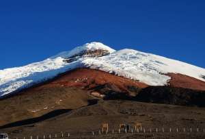 Instituto Geofísico dio detalles sobre los lahares registrados en el volcán Cotopaxi
