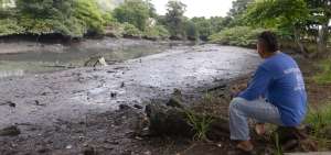 Los ramales de los esteros ubicados en la zona de Urdesa, Miraflores y Mapasingue constan entre los que tienen mayores &iacute;ndices de contaminaci&oacute;n.
