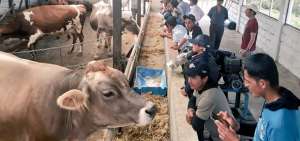 Los beneficiarios conf&iacute;an en que con lo aprendido en el tema ganadero mejoren la crianza, alimentaci&oacute;n y producci&oacute;n de sus animales.