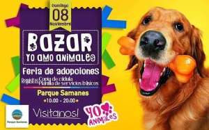 Grupo de ayuda animal realizar&aacute; bazar y feria de adopciones en Guayaquil