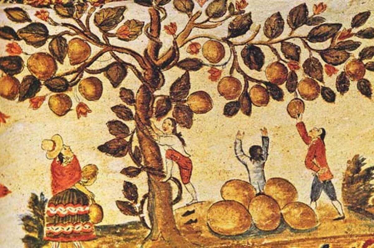 Lo que se com&iacute;a en el siglo XVIII en Cuenca: las m&aacute;s deliciosas y frescas frutas