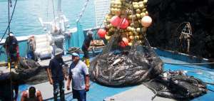 La CE pidi&oacute; a Ecuador que desarrolle un sistema de garant&iacute;a de cumplimiento y sanci&oacute;n contra las actividades de la pesca ilegal.