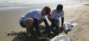 Los voluntarios escarbaron en la arena para hallar envases de pl&aacute;sticos o restos de pescados. 