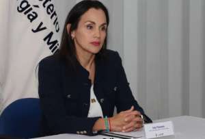 Posteriormente, el informe llegar&aacute; al Pleno de la Asamblea para una decisi&oacute;n definitiva.