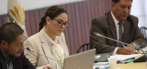 El informe fue aprobado por dos de los tres integrantes de la comisi&oacute;n, Mar&iacute;a Mercedes Cuesta y Fausto Ter&aacute;n. A la sesi&oacute;n no asisti&oacute; Marcela Agui&ntilde;aga. 