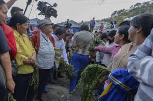 Todos los estudiantes recibieron fueron golpeados con ortiga por una cadena de padres y familiares. Foto: Miguel Jimenez/El Tel&eacute;grafo
