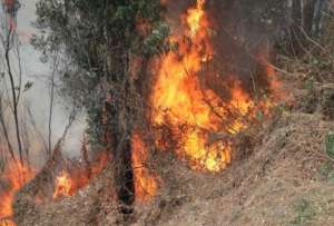 ¡Detenido! supuesto pirómano causante del incendio en Guápulo