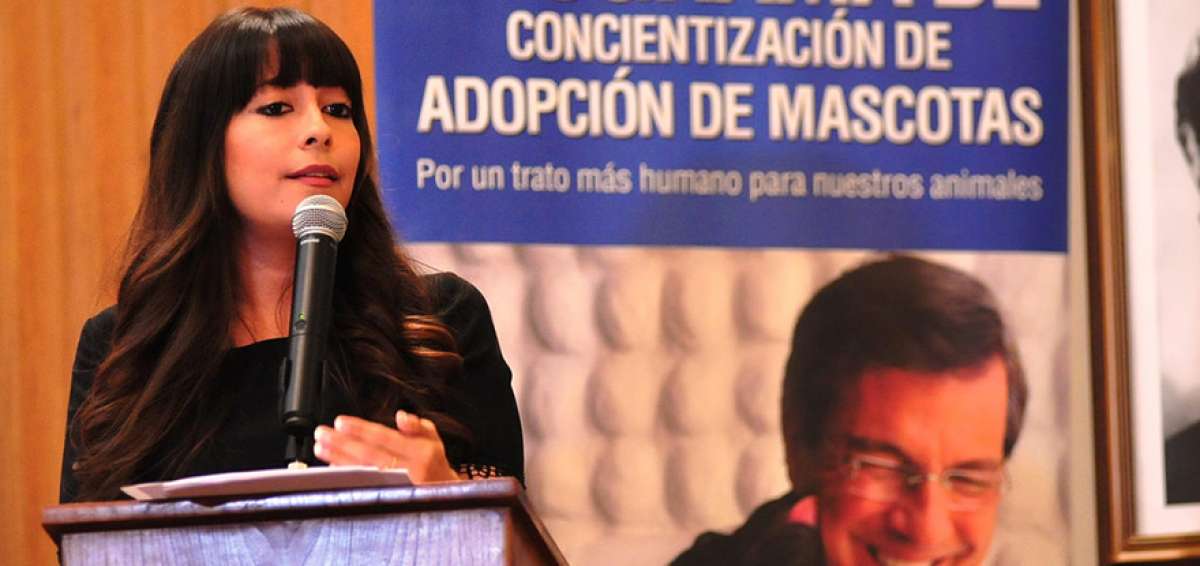 La canoterapia sirve como soporte emocional