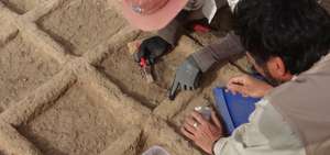 Los arque&oacute;logos conoc&iacute;an de estos jardines funerarios en Egipto &uacute;nicamente por registros de esculturas y pinturas murales.