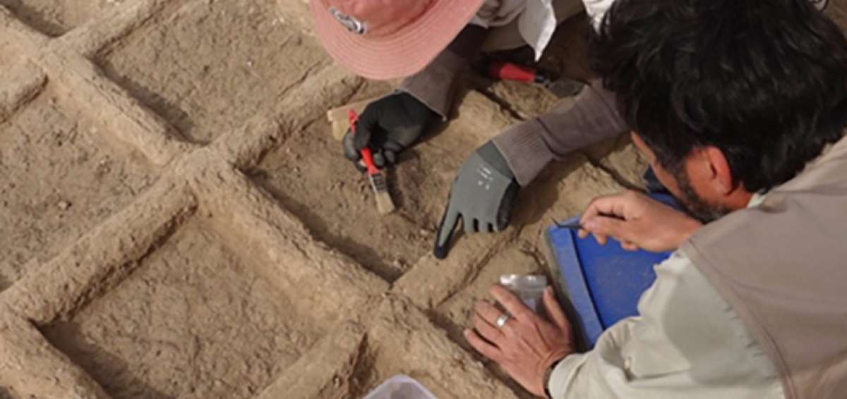 Los arque&oacute;logos conoc&iacute;an de estos jardines funerarios en Egipto &uacute;nicamente por registros de esculturas y pinturas murales.