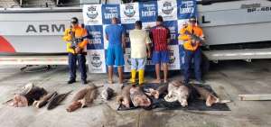 Armada de Colombia detuvo a 3 ecuatorianos con pesca ilegal en zona protegida