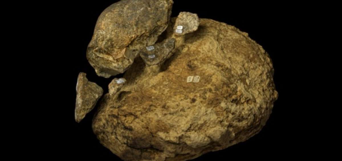 Una piedra "martillo" - posiblemente formada por antiguos humanos - encontrada en California y fechada hace 130.000 a&ntilde;os.