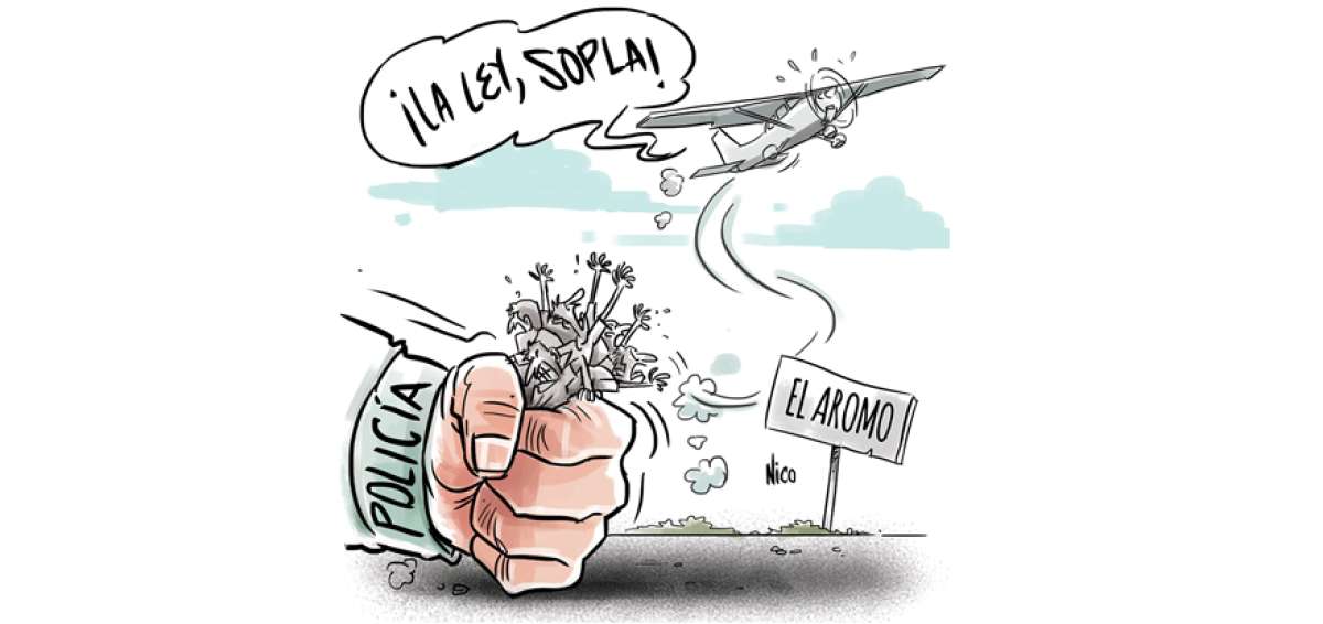 Narcoavioneta