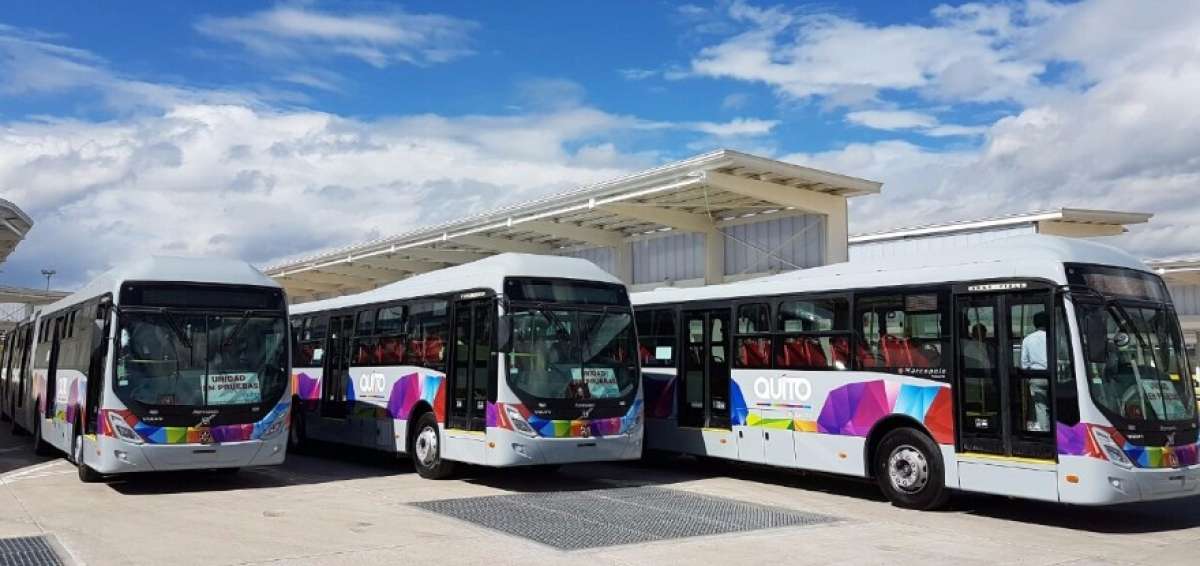Quito tiene en sus manos el 6% de la flota de biarticulados