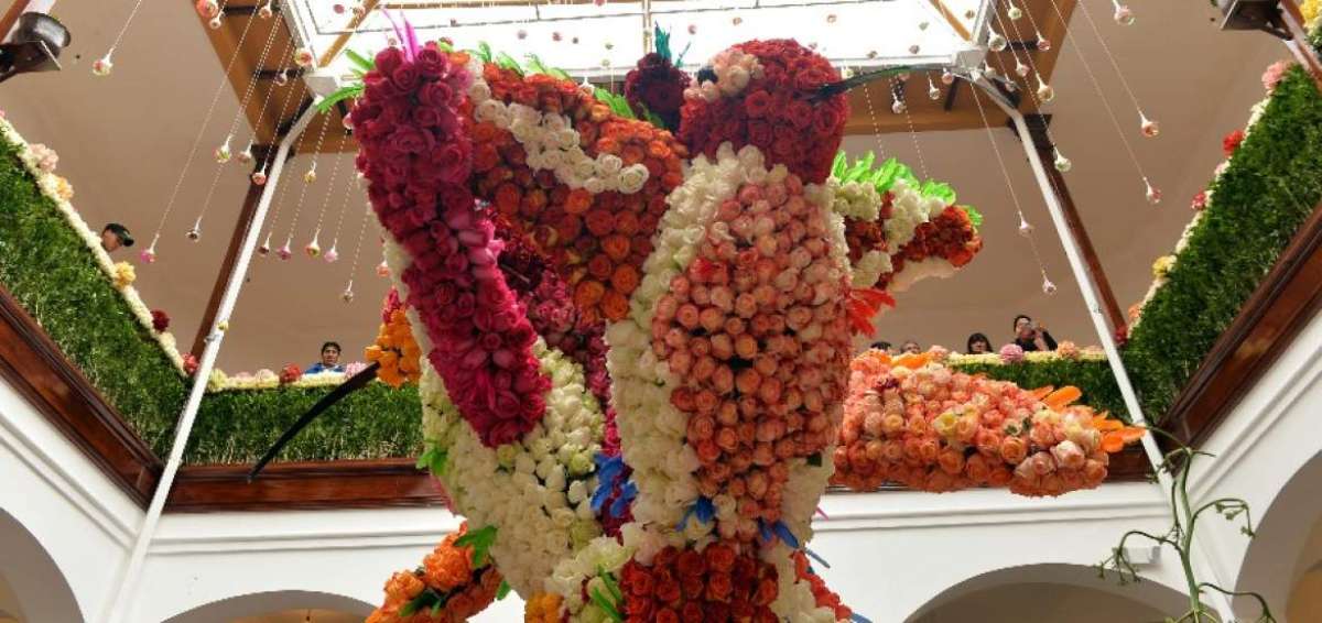 As&iacute; es la calidad de los arreglos florales que se muestran dentro de la tradicional Casa Museo de El Portal.