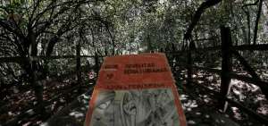 Este sendero de la quinta Atocha fue el preferido del escritor, pintor y poeta ambate&ntilde;o Juan Le&oacute;n Mera.