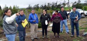 Durante el recorrido, funcionarios del ramo verificaron los predios donde se levantar&aacute;n los siete proyectos habitacionales en sectores rurales de Tungurahua.