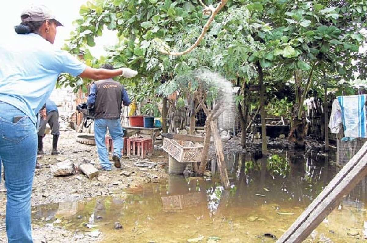 Varias poblaciones en la provincia de El Oro son fumigadas para evitar que el vector se multiplique. Foto: Fabricio Cruz.