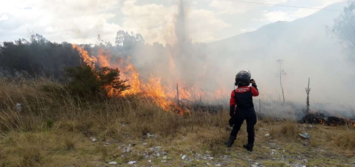 Conato de incendio forestal es controlado en Carapungo