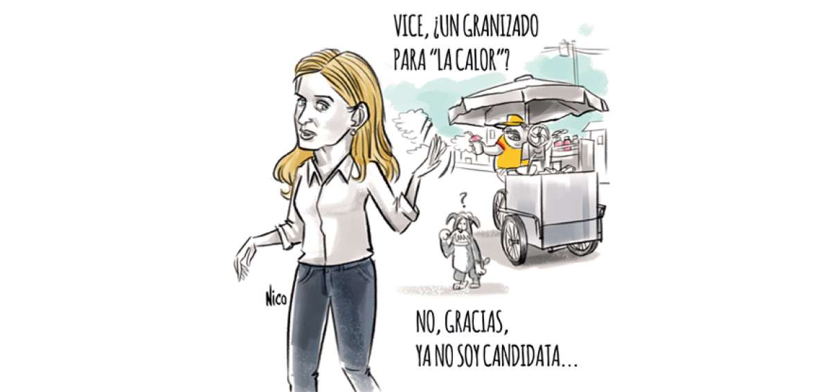 Declinaci&oacute;n a la precandidatura