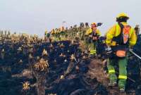 El incendio fue controlado en su totalidad