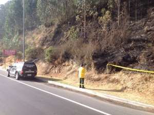 En el sector norte del parque Metropolitano se origin&oacute; el incendio. FOTO: Cortes&iacute;a