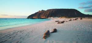 La Unesco aprob&oacute; la ampliaci&oacute;n de la Reserva de Biosfera de Gal&aacute;pagos.