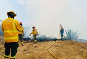 Los Bomberos trabajan en un incendio forestal en Pusuquí.