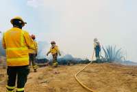 Los Bomberos trabajan en un incendio forestal en Pusuquí.