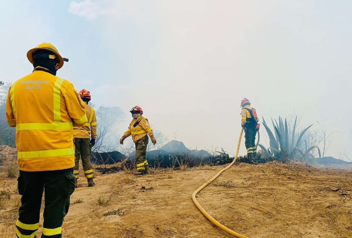 Los Bomberos trabajan en un incendio forestal en Pusuquí.