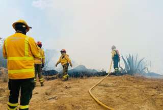 Los Bomberos trabajan en un incendio forestal en Pusuquí.