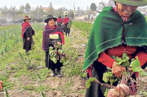Una granja pillare&ntilde;a ense&ntilde;a a cocinar de &lsquo;la mata a la olla&rsquo;