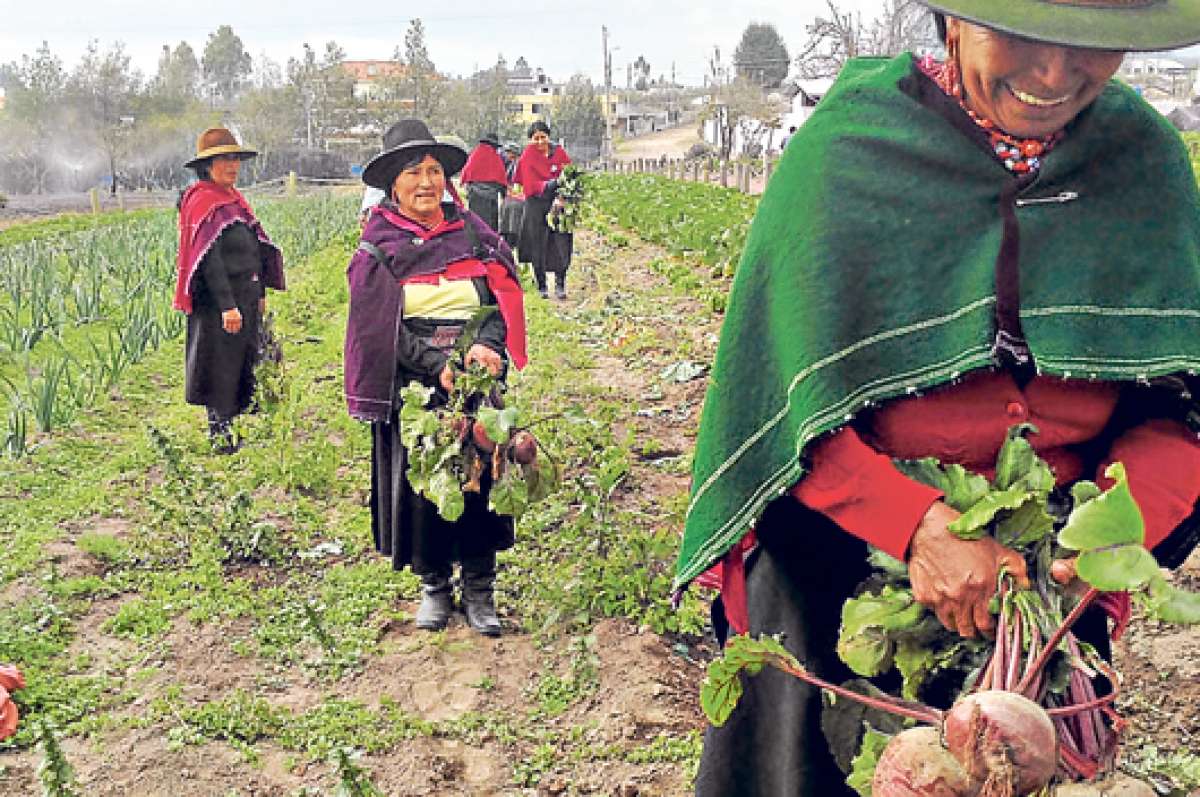 Una granja pillare&ntilde;a ense&ntilde;a a cocinar de &lsquo;la mata a la olla&rsquo;