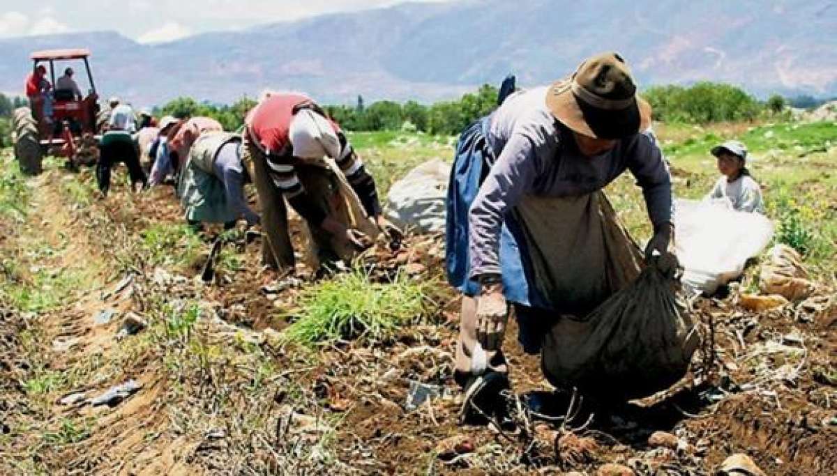 1.000 nuevos afiliados entran al Seguro Social Campesino en mercados de Quito. 