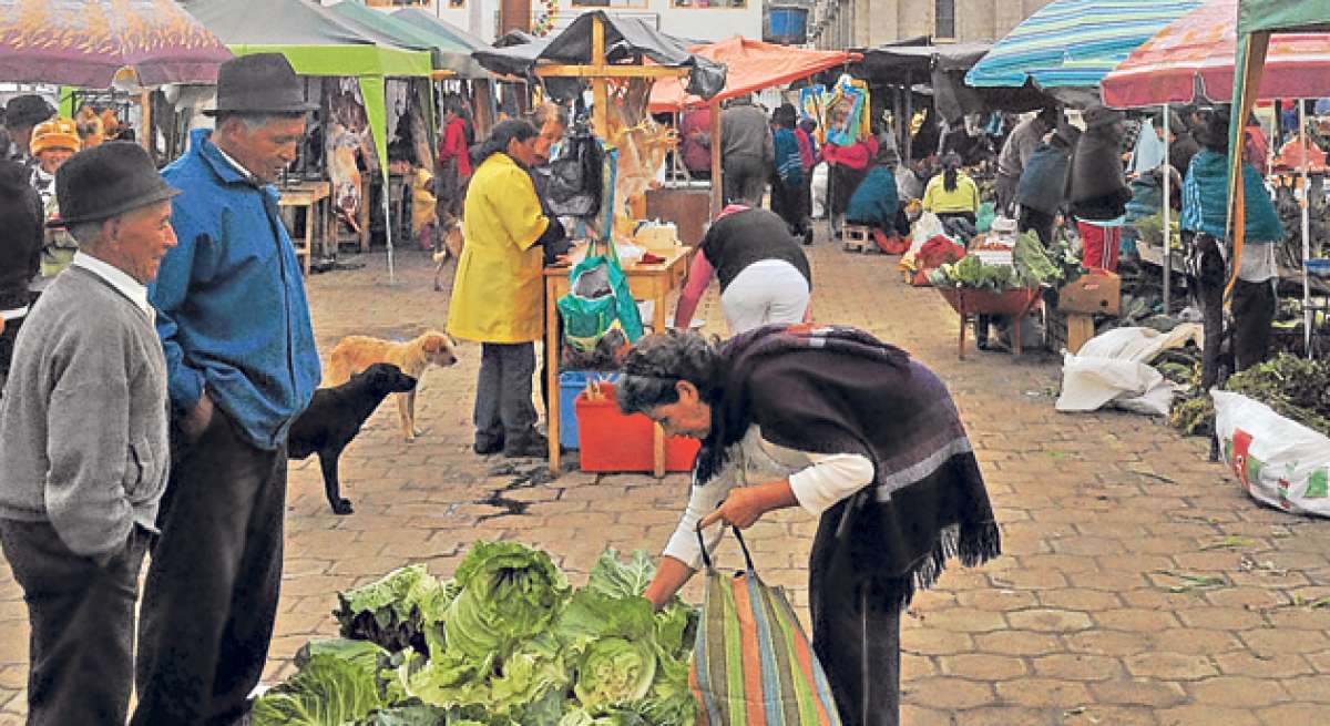 Los martes y domingos, m&aacute;s de 300 comerciantes arriban a la plaza Central para expender lechugas, col, papas, habas, mellocos, frutas y m&aacute;s. Foto: Jos&eacute; Miguel Castillo/ El Tel&eacute;grafo