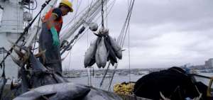 FAO: Chile, Ecuador y Per&uacute; podr&iacute;an ver menor productividad en pesca por impacto del cambio clim&aacute;tico