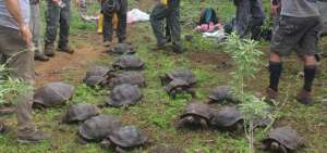 La labor se realiz&oacute; con personal t&eacute;cnico de la Direcci&oacute;n del Parque Nacional Gal&aacute;pagos.