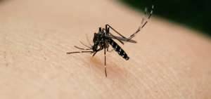 Colombia registra 5 casos de microcefalia por zika
