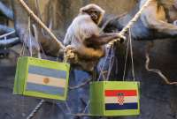 Un gibón del zoo de Zagreb predice una victoria de Croacia