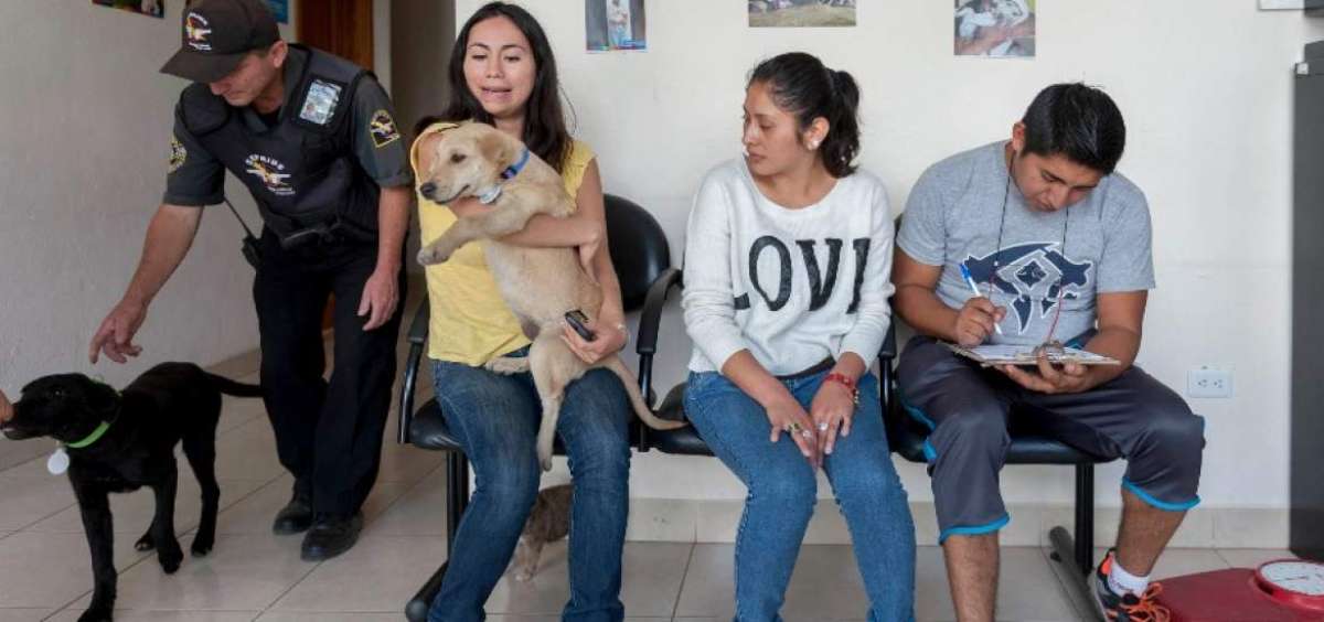En el albergue temporal de Urbanimal, la familia Lozada adopt&oacute; dos canes (Blaky, macho y Princesa, hembra), ambos fueron rescatados de las calles de Quito.