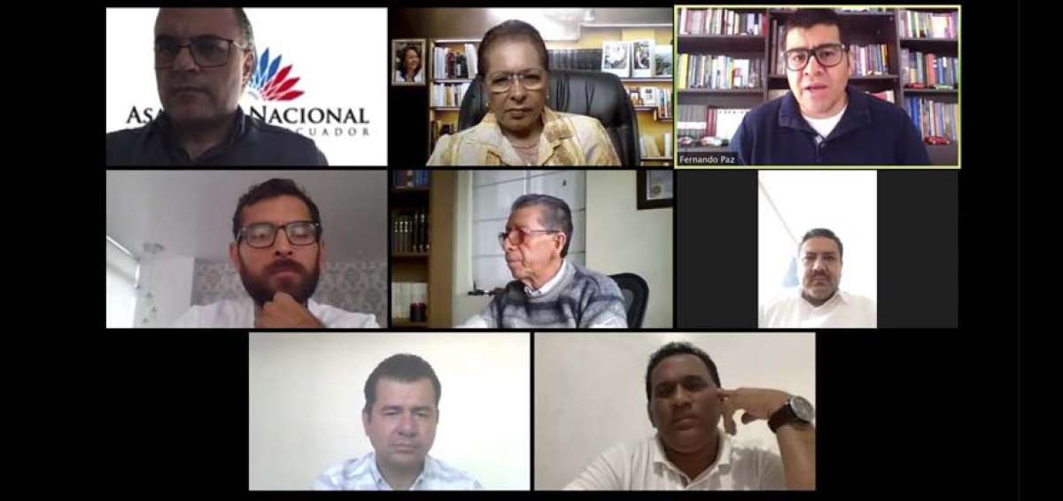 En esta captura de pantalla se muestra a los miembros de la Comisi&oacute;n del Derecho a la Salud durante la reuni&oacute;n virtual que sostuvieron este viernes.       