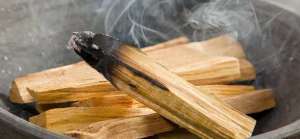El palo santo, producto que repele los insectos