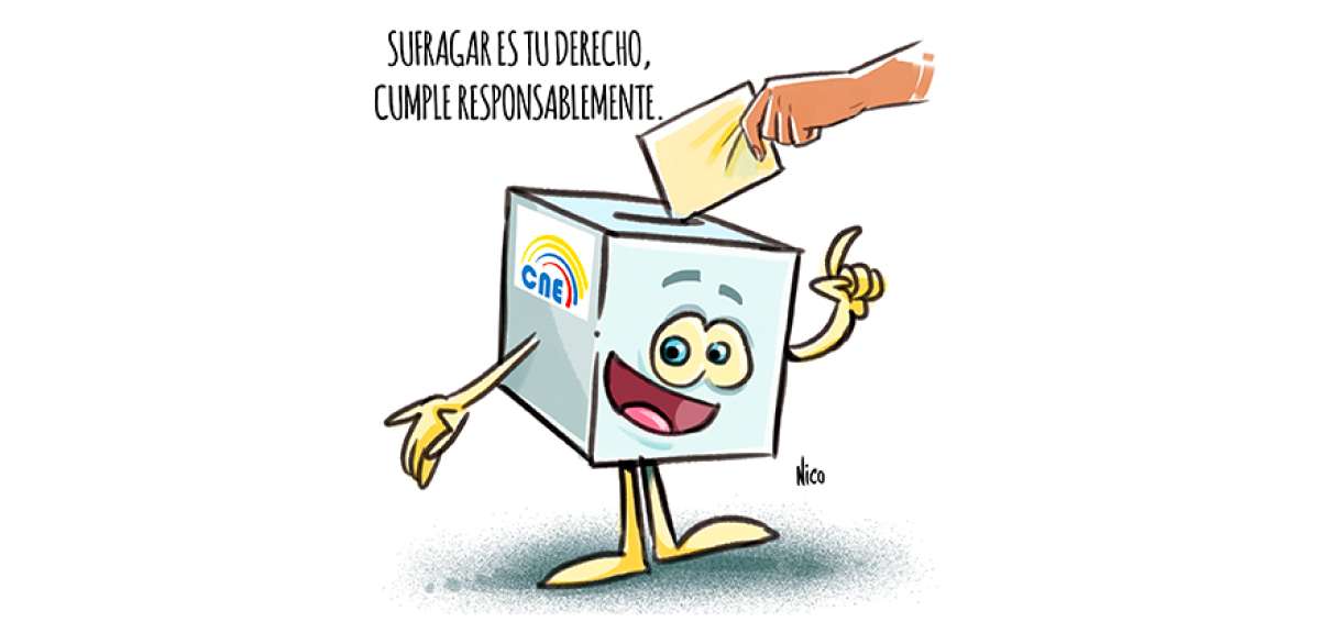Elecciones seccionales por Nico
