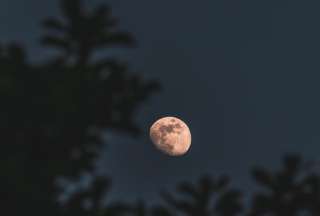 El primer plenilunio de 2025 iluminará el cielo la noche del 13 de enero con un brillo único y especial.